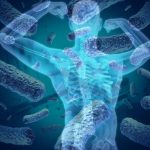 Human Microbiome Applications - microorganisms and bacterial cells have a profound affect on the human body and affect nutrition, immune function and diseases.