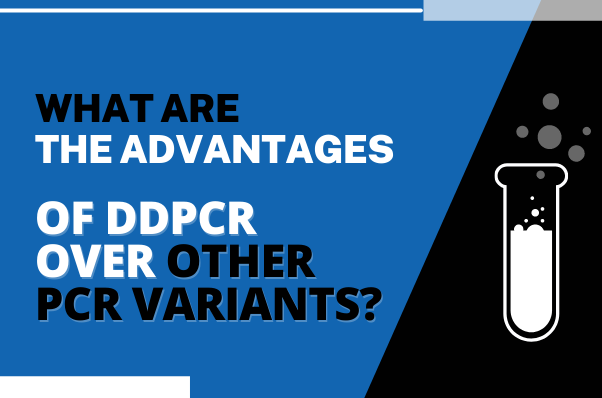 What Are the Advantages of ddPCR Over Other PCR Variants?