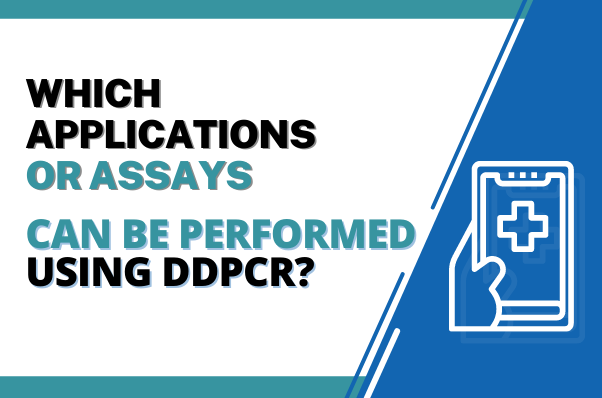 Which applications or assays can be performed using ddPCR?
